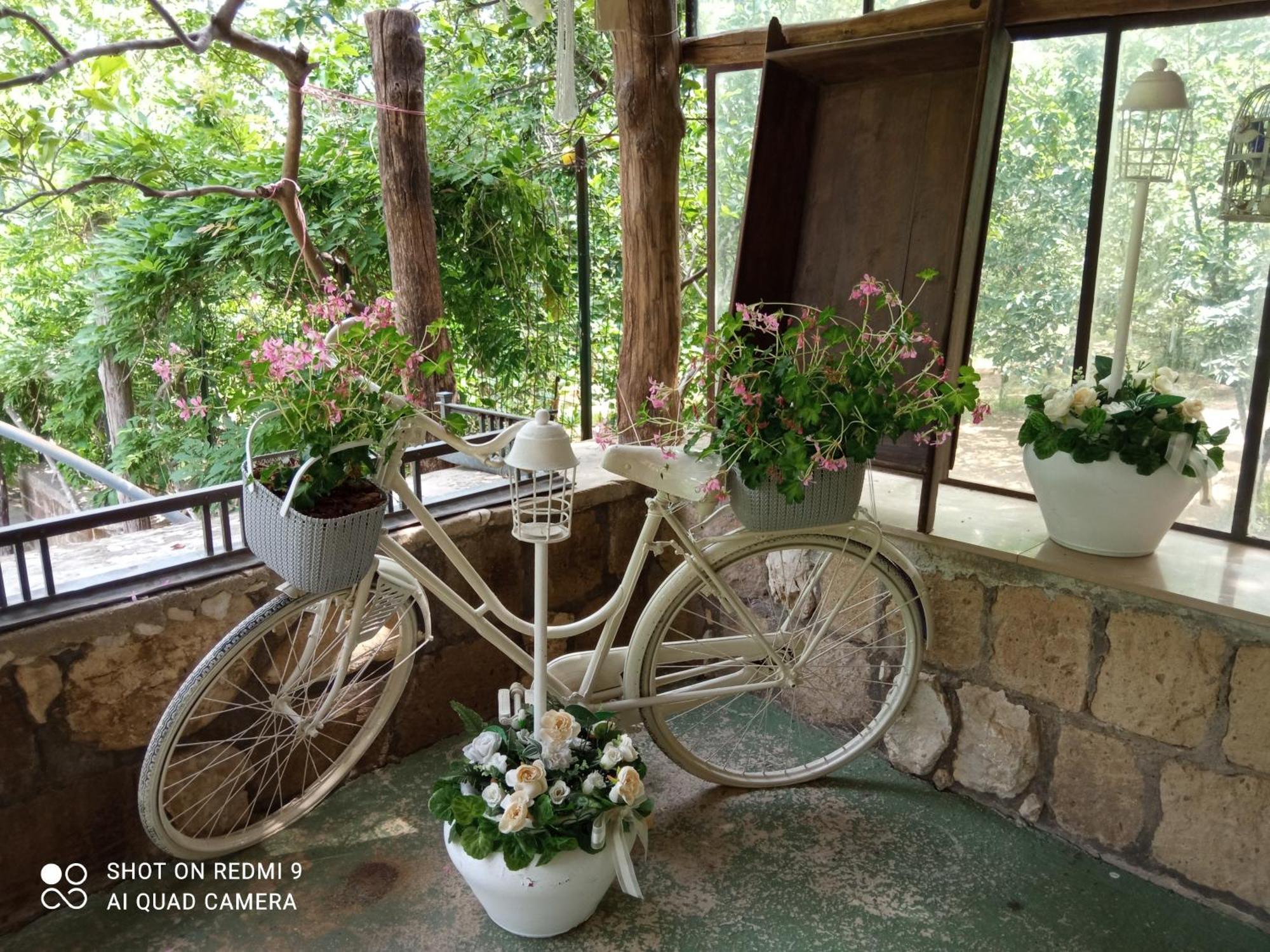 Melly'S Home San Felice a Cancello Exterior photo
